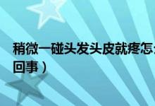 稍微一碰頭發(fā)頭皮就疼怎么辦（稍微一碰頭發(fā)頭皮就疼怎么回事）