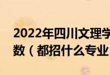 2022年四川文理學(xué)院各省招生計劃及招生人數(shù)（都招什么專業(yè)）