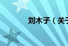 劉木子（關于劉木子的介紹）