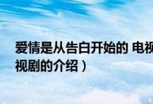 愛情是從告白開始的 電視?。P于愛情是從告白開始的 電視劇的介紹）