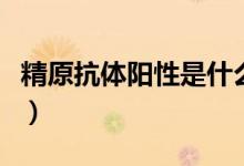 精原抗體陽(yáng)性是什么意思（精原抗體怎么回事）