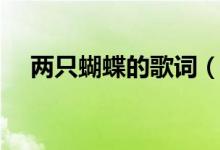 兩只蝴蝶的歌詞（歌曲兩只蝴蝶的歌詞）