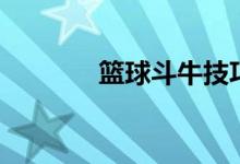 籃球斗牛技巧（方法很簡單）