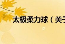 太極柔力球（關(guān)于太極柔力球的介紹）