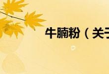 牛腩粉（關(guān)于牛腩粉的介紹）