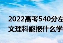2022高考540分左右能上哪些大學（新高考文理科能報什么學校）
