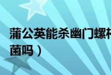 蒲公英能殺幽門螺桿菌么（蒲公英殺幽門螺桿菌嗎）