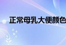正常母乳大便顏色（正常大便什么顏色）