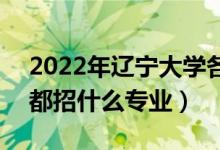 2022年遼寧大學各省招生計劃及招生人數(shù)（都招什么專業(yè)）