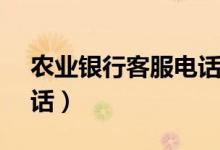 農(nóng)業(yè)銀行客服電話95555（農(nóng)業(yè)銀行客服電話）