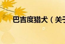 巴吉度獵犬（關于巴吉度獵犬的介紹）