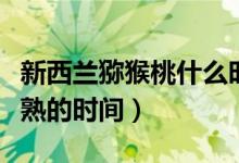 新西蘭獼猴桃什么時(shí)候成熟（新西蘭獼猴桃成熟的時(shí)間）