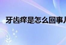 牙齒癢是怎么回事兒（牙齒癢是怎么回事）