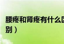 腰疼和腎疼有什么區(qū)別（腰疼和腎疼有什么區(qū)別）