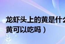 龍蝦頭上的黃是什么東西能吃嗎（龍蝦頭上的黃可以吃嗎）
