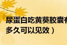 尿蛋白吃黃葵膠囊有用嗎（尿蛋白吃黃葵膠囊多久可以見效）