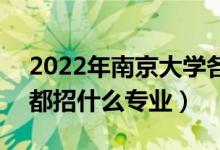 2022年南京大學(xué)各省招生計(jì)劃及招生人數(shù)（都招什么專業(yè)）