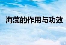 海藻的作用與功效（海藻有何作用與功效）