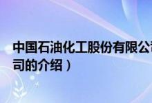 中國石油化工股份有限公司（關于中國石油化工股份有限公司的介紹）