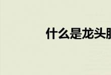什么是龍頭股（什么琴煮鶴）