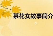 茶花女故事簡(jiǎn)介（茶花女小說(shuō)簡(jiǎn)介）