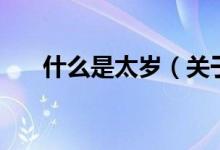 什么是太歲（關(guān)于什么是太歲的介紹）
