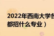 2022年西南大學(xué)各省招生計(jì)劃及招生人數(shù)（都招什么專業(yè)）