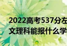 2022高考537分左右能上哪些大學（新高考文理科能報什么學校）