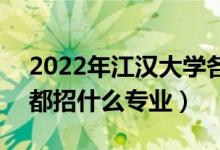2022年江漢大學(xué)各省招生計(jì)劃及招生人數(shù)（都招什么專業(yè)）