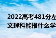 2022高考481分左右能上哪些大學(xué)（新高考文理科能報什么學(xué)校）
