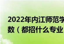2022年內(nèi)江師范學(xué)院各省招生計劃及招生人數(shù)（都招什么專業(yè)）