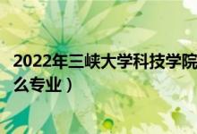 2022年三峽大學(xué)科技學(xué)院各省招生計(jì)劃及招生人數(shù)（都招什么專業(yè)）