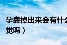 孕囊掉出來會有什么感覺（孕囊掉出來會有感覺嗎）