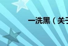 一洗黑（關(guān)于一洗黑的介紹）