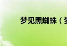 夢見黑蜘蛛（夢見黑蜘蛛好不好）