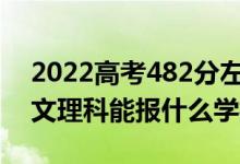 2022高考482分左右能上哪些大學(xué)（新高考文理科能報什么學(xué)校）