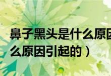 鼻子黑頭是什么原因怎樣去掉（鼻子黑頭是什么原因引起的）