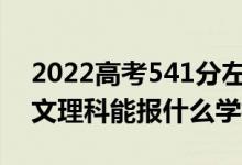2022高考541分左右能上哪些大學（新高考文理科能報什么學校）