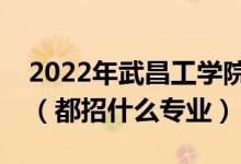 2022年武昌工學(xué)院各省招生計劃及招生人數(shù)（都招什么專業(yè)）