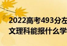 2022高考493分左右能上哪些大學(xué)（新高考文理科能報(bào)什么學(xué)校）