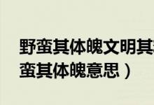 野蠻其體魄文明其精神意思（文明其精神 野蠻其體魄意思）