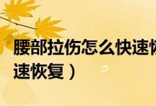 腰部拉傷怎么快速恢復(fù)動作（腰部拉傷怎么快速恢復(fù)）