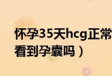 懷孕35天hcg正常值參考范圍（懷孕35天能看到孕囊嗎）