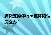 肺炎支原體igm抗體陽性吃什么（肺炎支原體igm抗體陽性怎么辦）