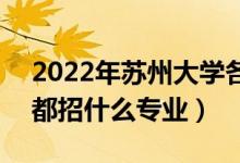 2022年蘇州大學(xué)各省招生計(jì)劃及招生人數(shù)（都招什么專業(yè)）