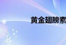 黃金翅膀素材（黃金翅膀）