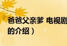 爸爸父親爹 電視?。P于爸爸父親爹 電視劇的介紹）