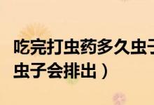 吃完打蟲藥多久蟲子會排出（吃完打蟲藥多久蟲子會排出）