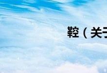 鞚（關(guān)于鞚的介紹）