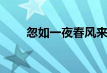 忽如一夜春風(fēng)來(lái)（狐如一夜春風(fēng)來(lái)）